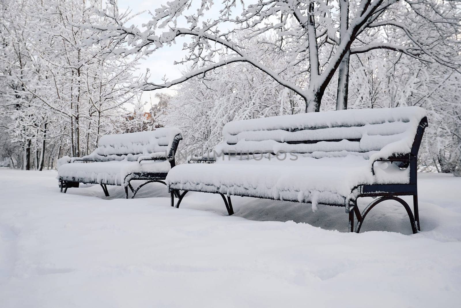Benches covered with pure white snow in a city park by DAndreev