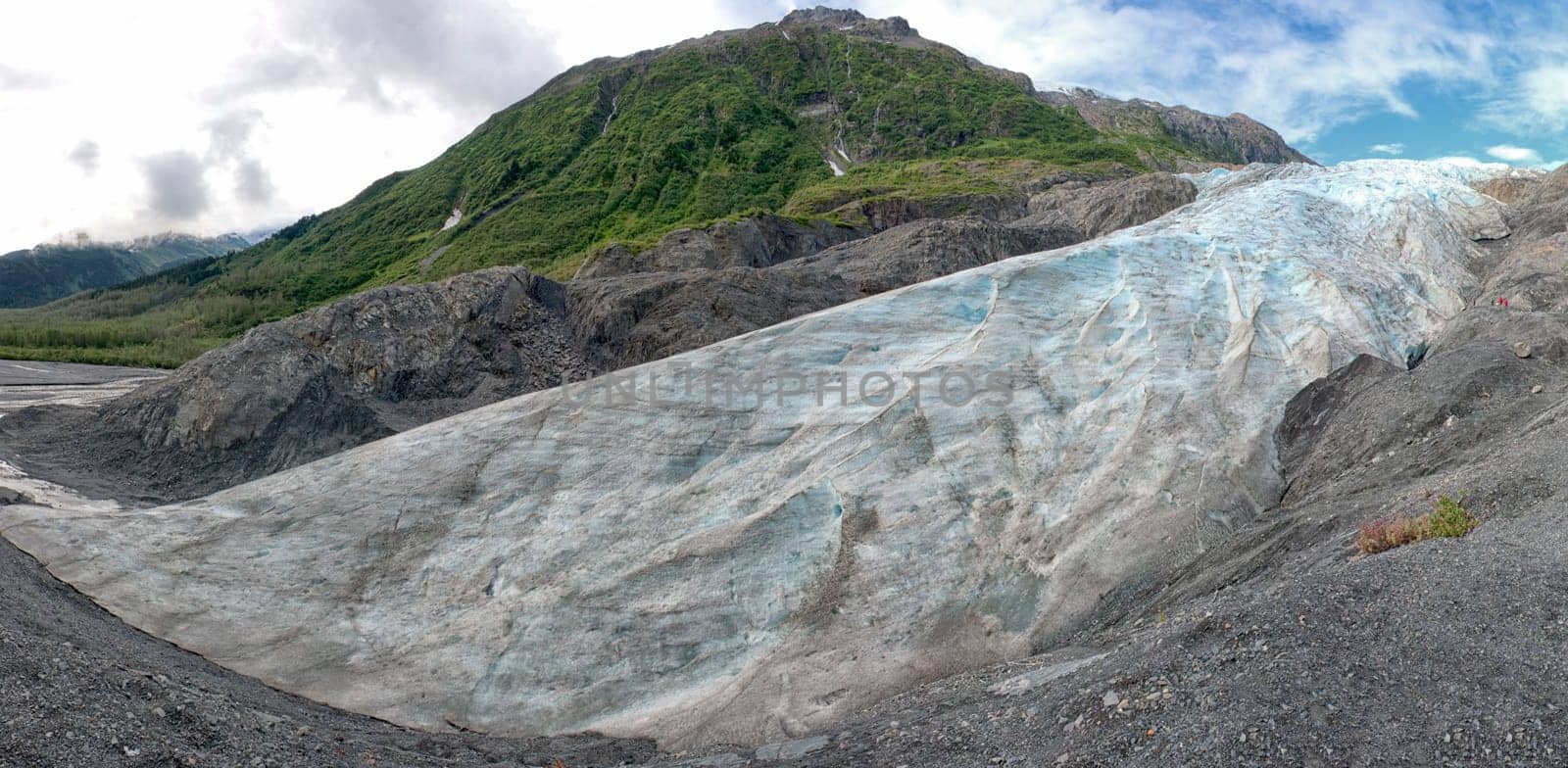 Alaska Mendenhall Glacier View by AndreaIzzotti