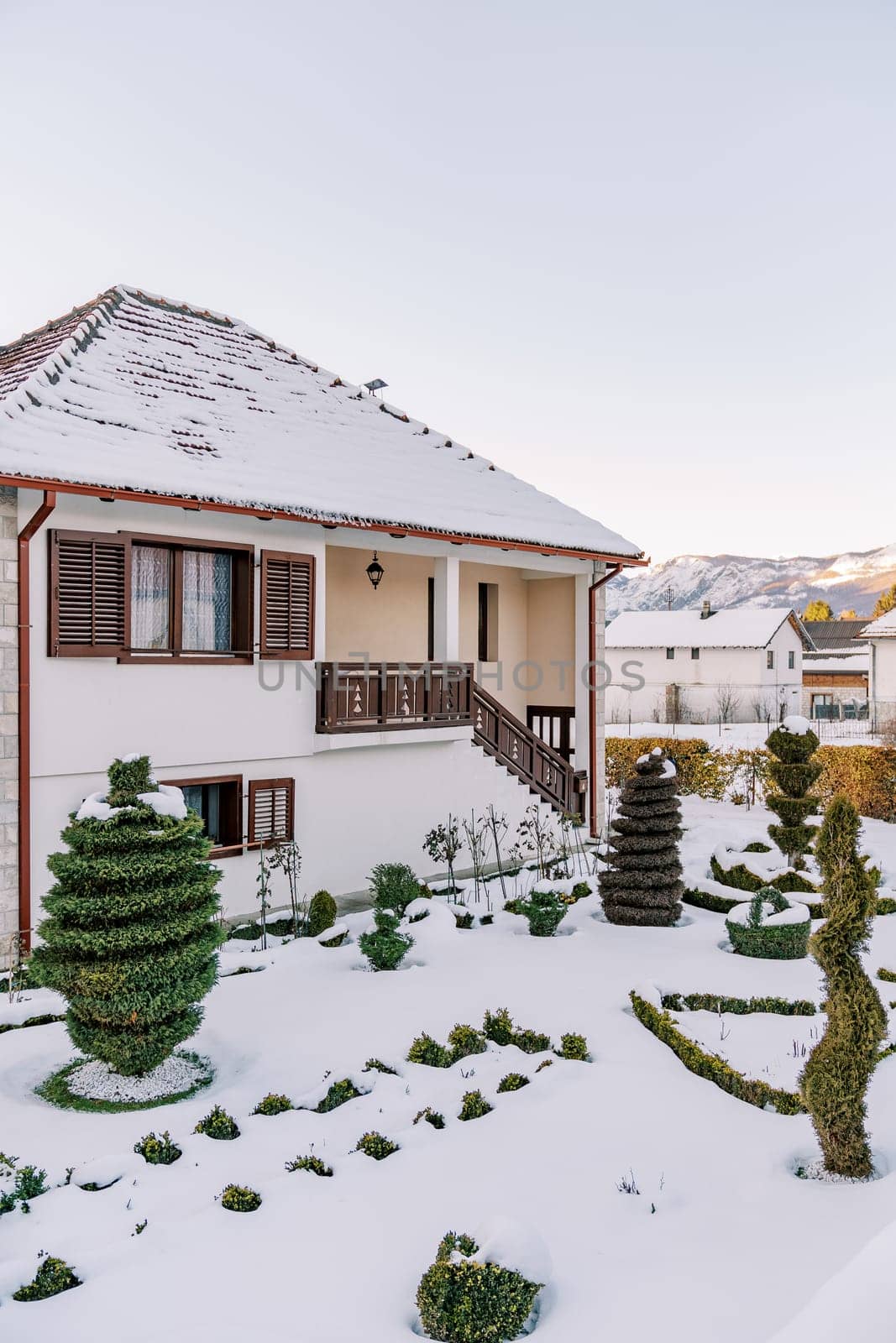 Artistically trimmed green bushes in the snow-covered yard of a cozy two-story cottage. High quality photo