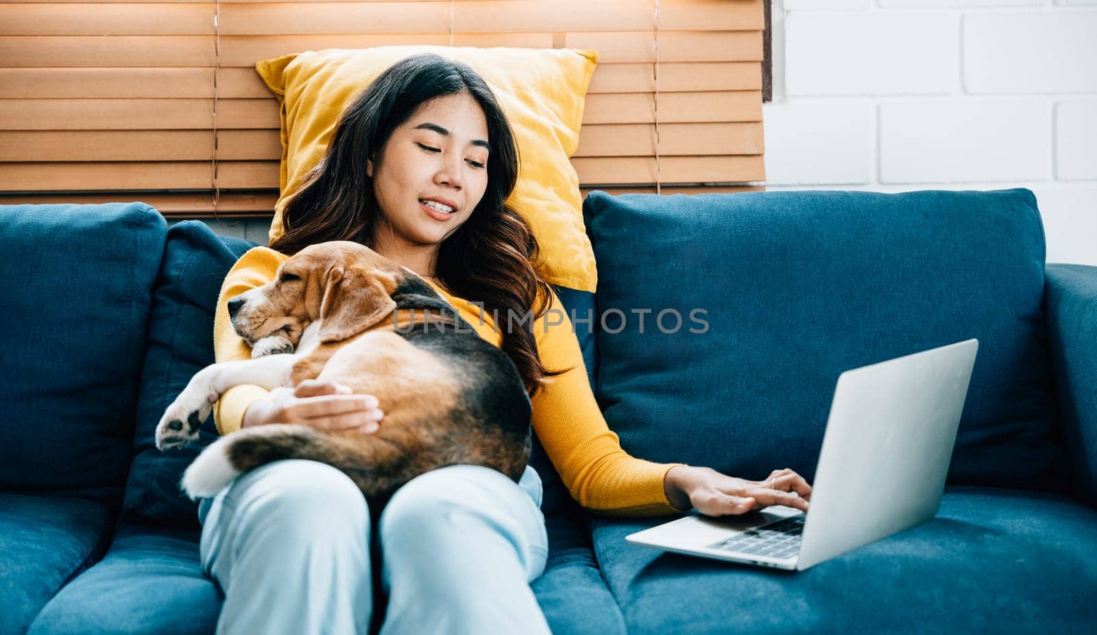 A pretty young woman, working on her laptop at home on the sofa, smiles as her loyal Beagle dog sleeps beside her. Their friendly bond and togetherness make working from home a joy. Friendly Dog.