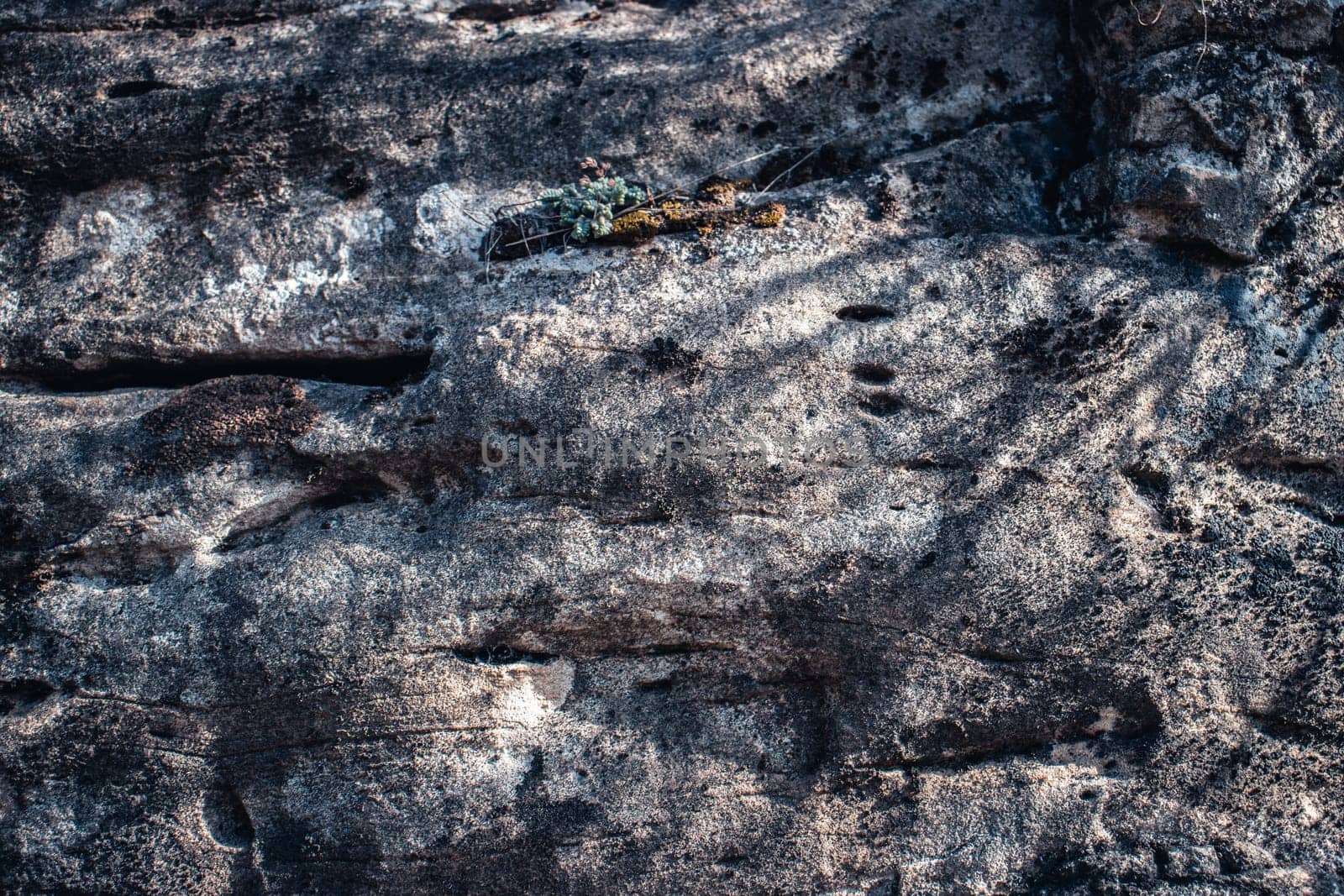 The surface of the mountain stone wall. photo Rock texture. White gray grunge background with sunlight. by _Nataly_Nati_