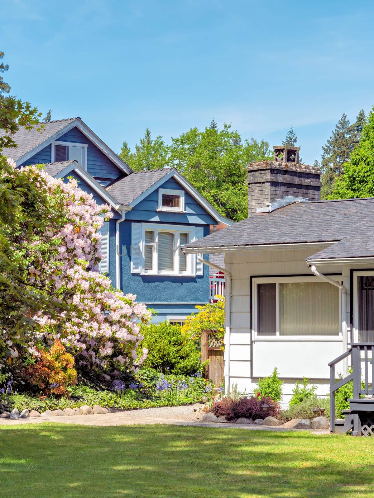 Residential neighborhood on bright sunny day in Vancouver, Canada