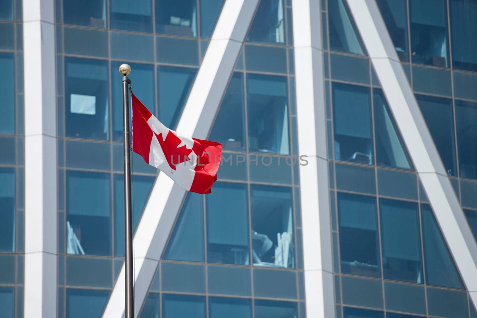 Canadian flag on calgary building background