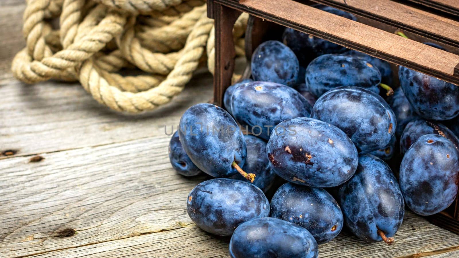 Ripe blue plums in a wooden crate in a rustic composition.