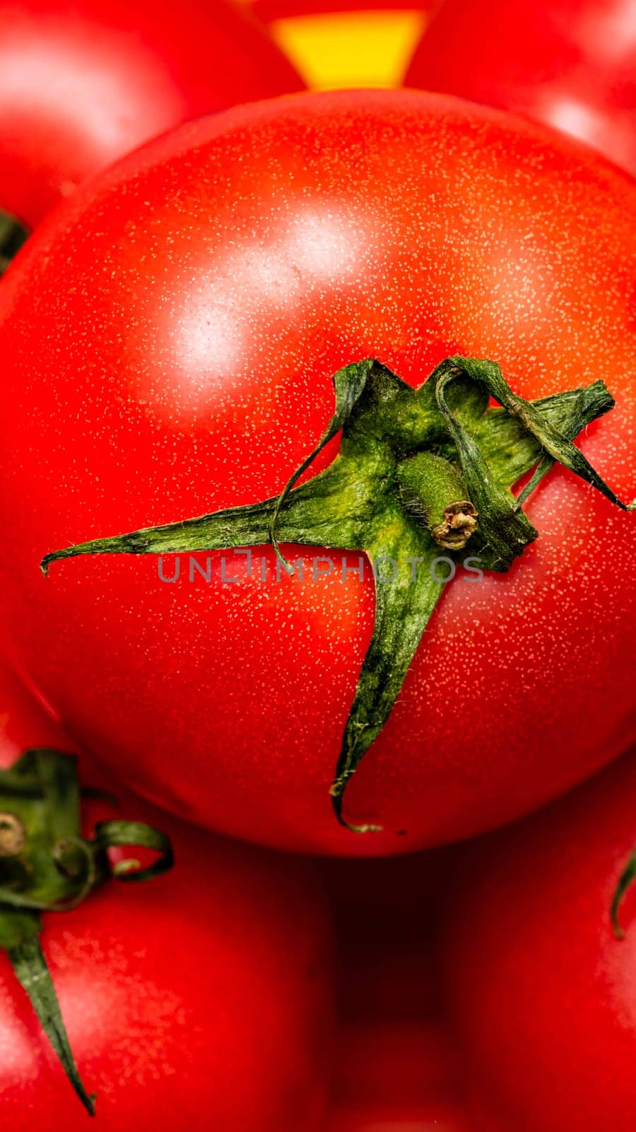 Close up of ripe red tomato, tomatoes background. by vladispas