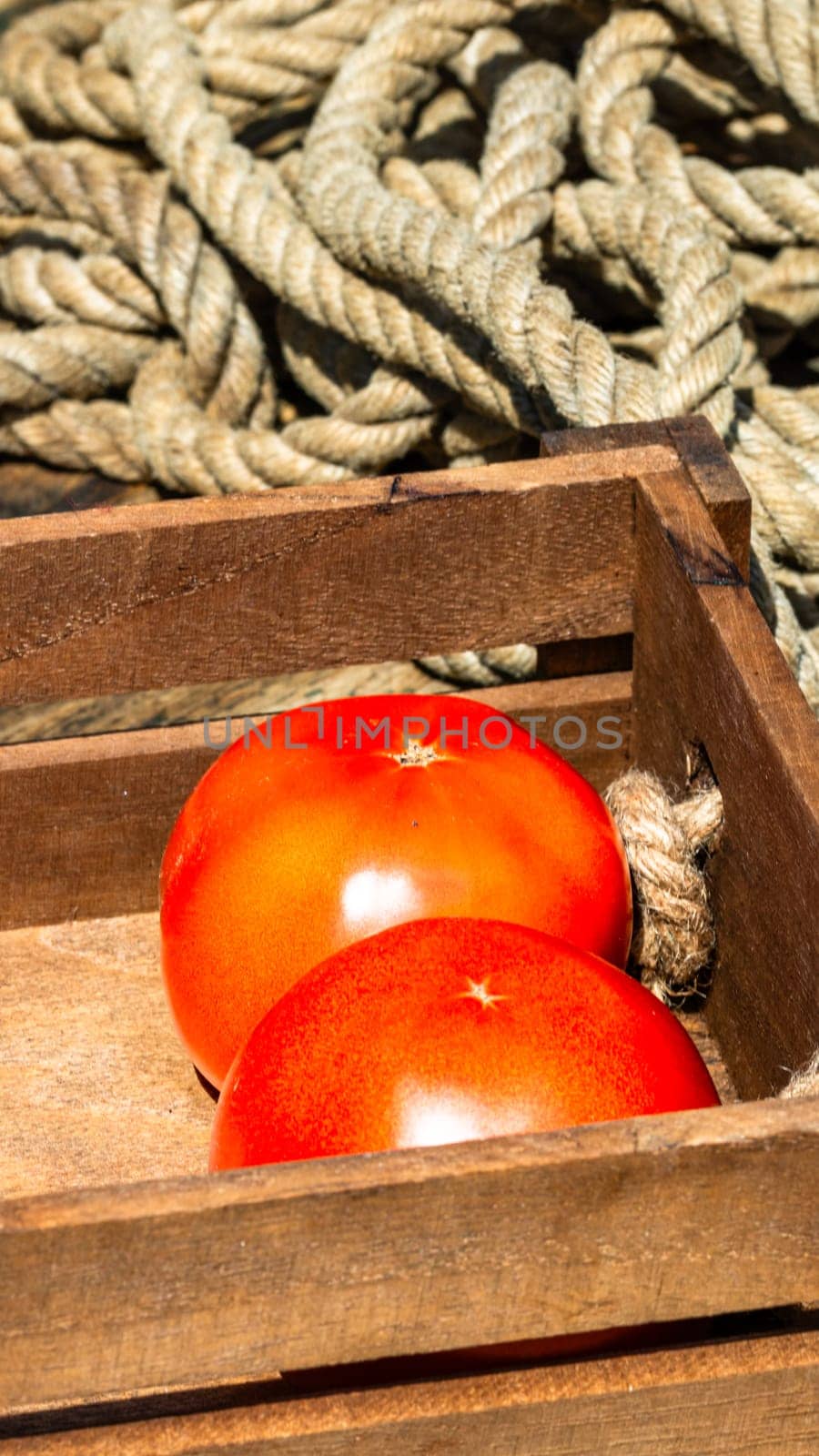 Wooden crate with fresh ripe tomatoes isolated in a rustic composition, by vladispas