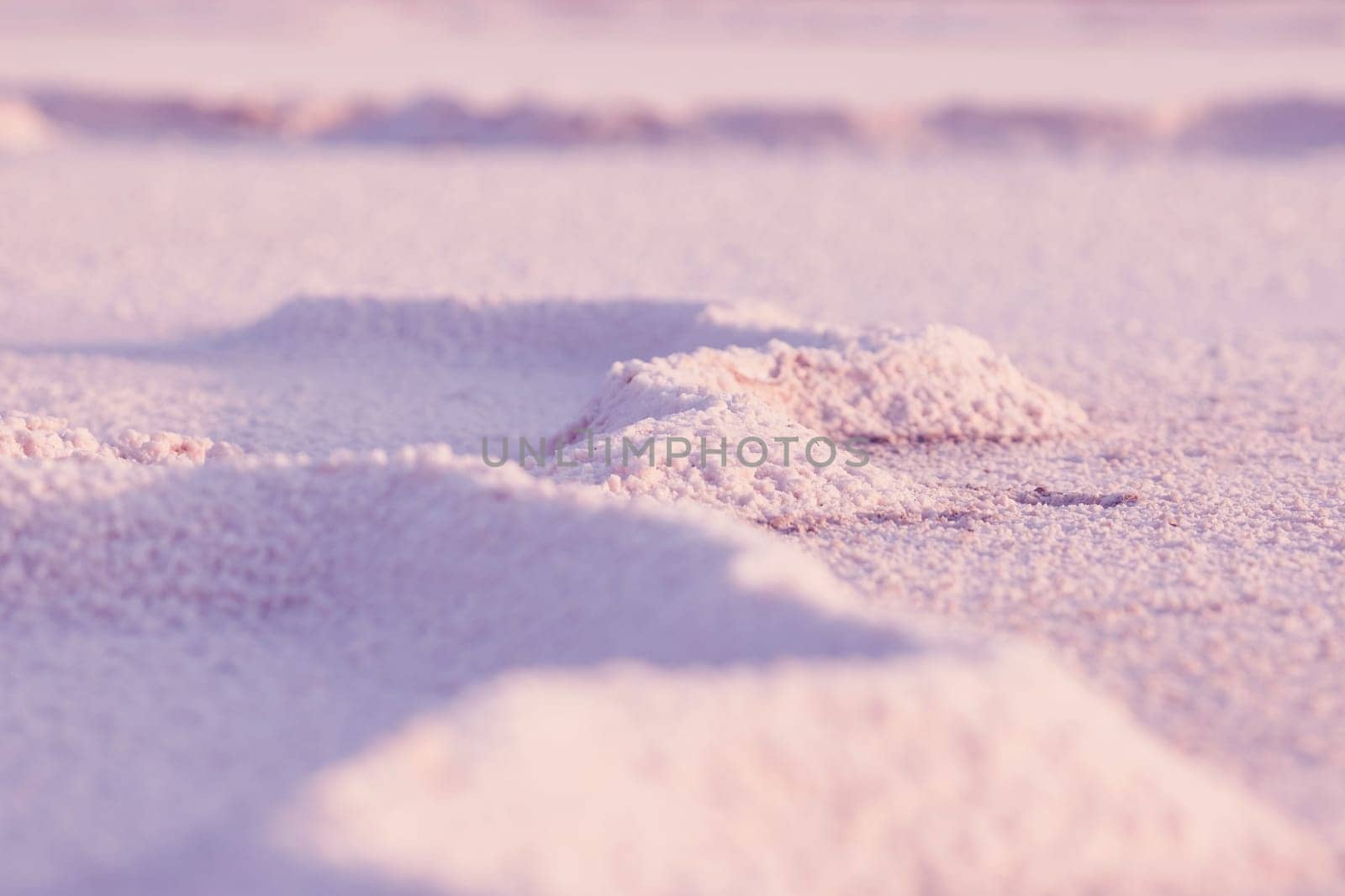landscape of dry Pink salt lake bed, cracked surface. Natural salt Close up. Surface of a salt lake, background. Top view on Pink salt lake by EvgeniyQW