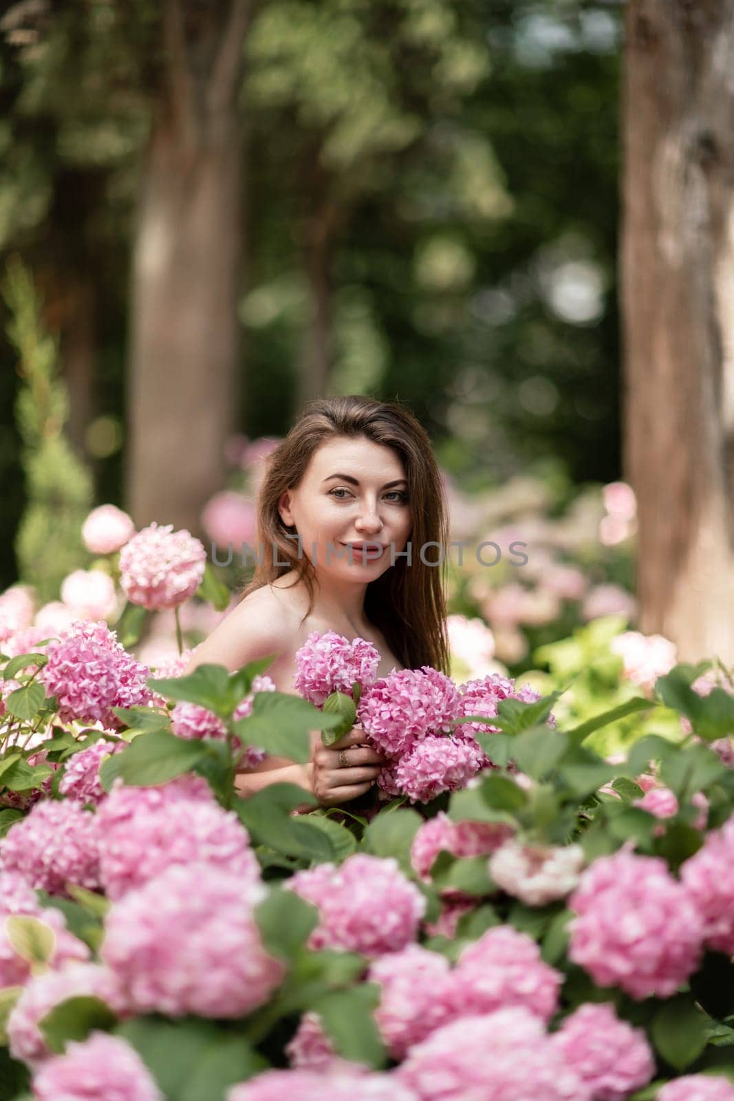 Hydrangeas Happy woman in pink dress amid hydrangeas. Large pink hydrangea caps surround woman. Sunny outdoor setting. Showcasing happy woman amid hydrangea bloom. by Matiunina