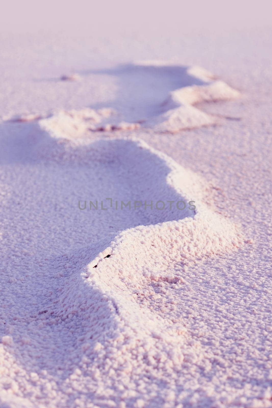 landscape of dry Pink salt lake bed, cracked surface. Natural salt Close up. Surface of a salt lake, background. Top view on Pink salt lake by EvgeniyQW