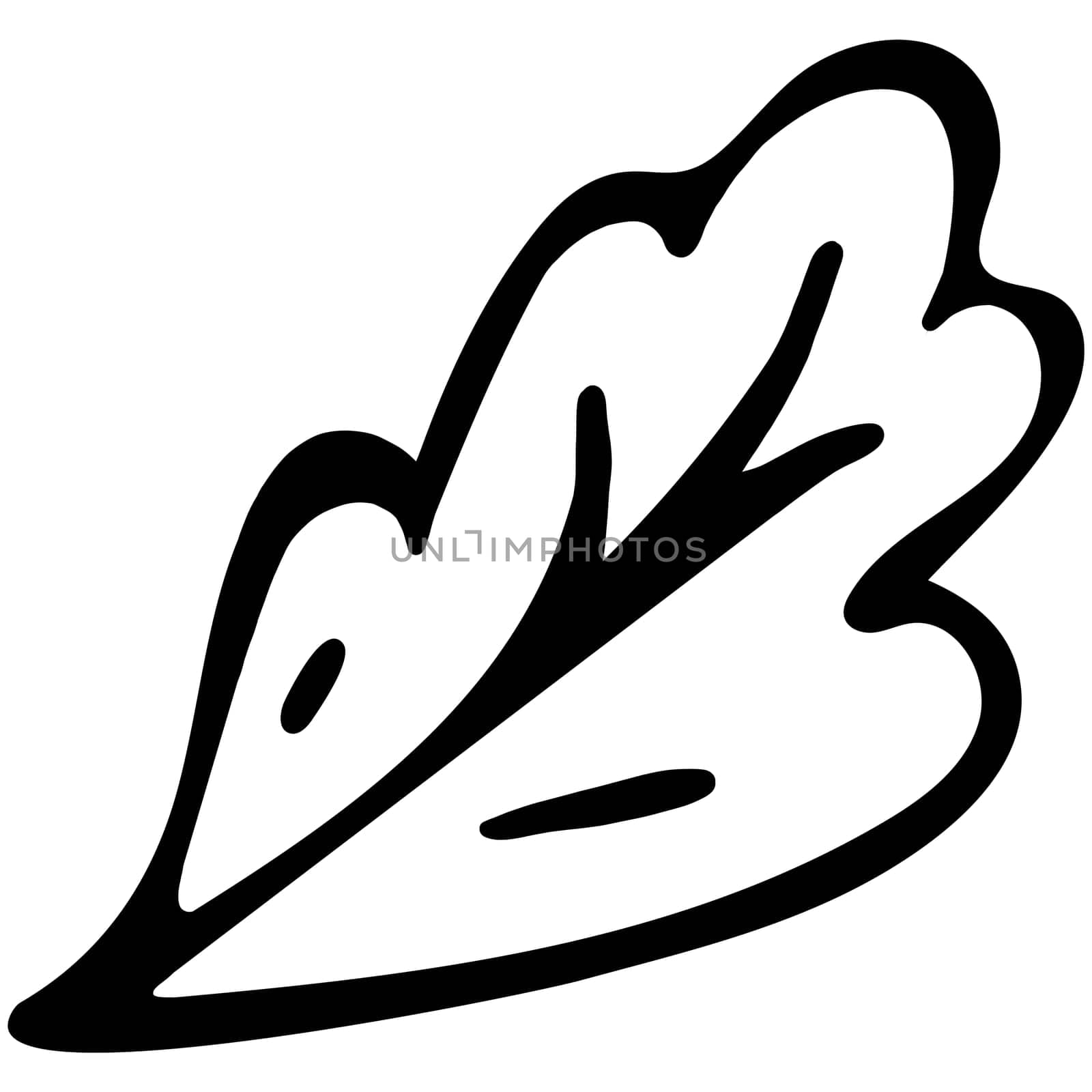 Black and White Hand Drawn Decorative Graphic Flower Leaf. Abstract Leaf Icon for Coloring Page, Book or Sheet for Kids.