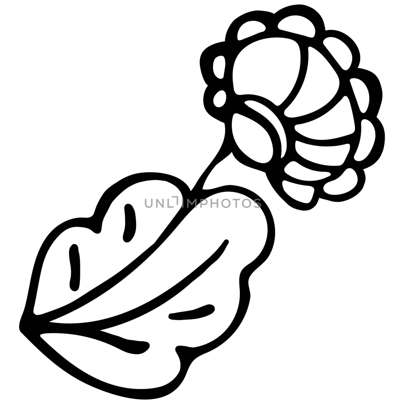 Flower Icon. Hand Drawn Simple Black Outline Floral Illustration. Clip Art in Doodle Style Isolated on White Background. Flat Flower Illustration for Coloring Page, Coloring Book or Sheet for Kids.