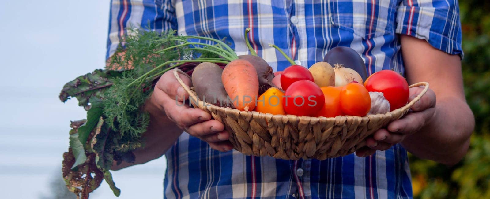 male farmer holding a basket with vegetables on the background of nature.