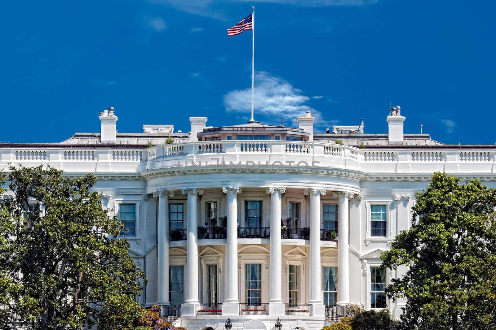 Washington White House on sunny day by AndreaIzzotti