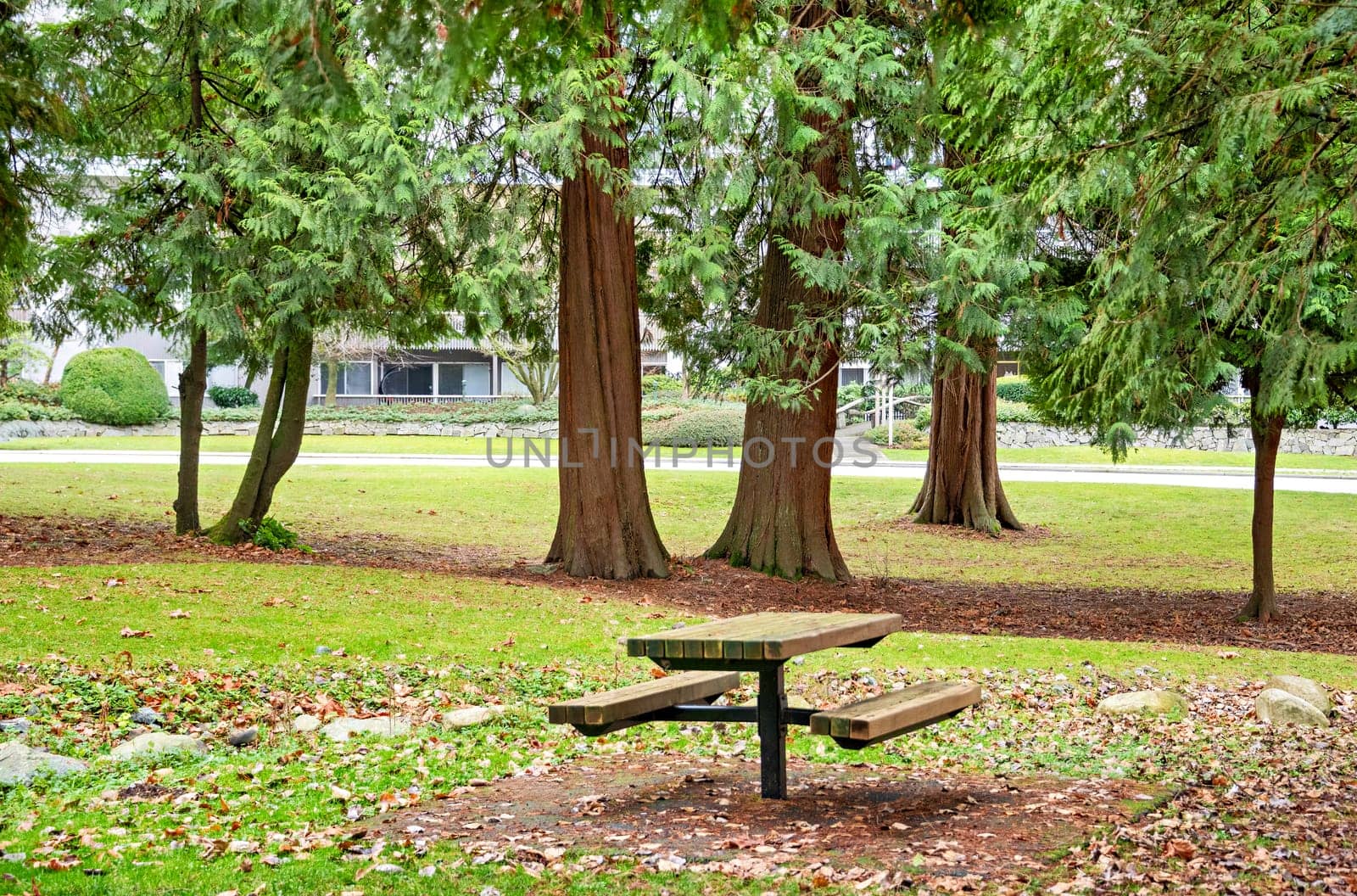 Recreational zone with wooden table in residential area.
