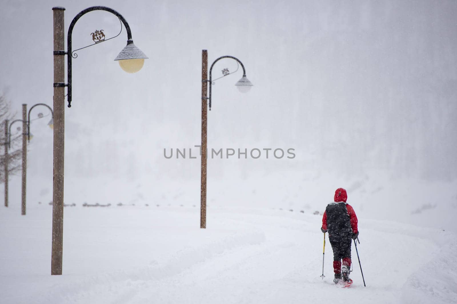 isolated snow shoe trekker covered by snow