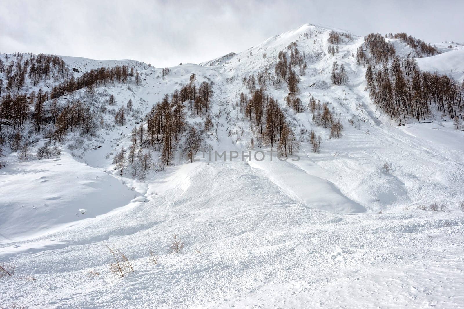 avalanche in alps by AndreaIzzotti