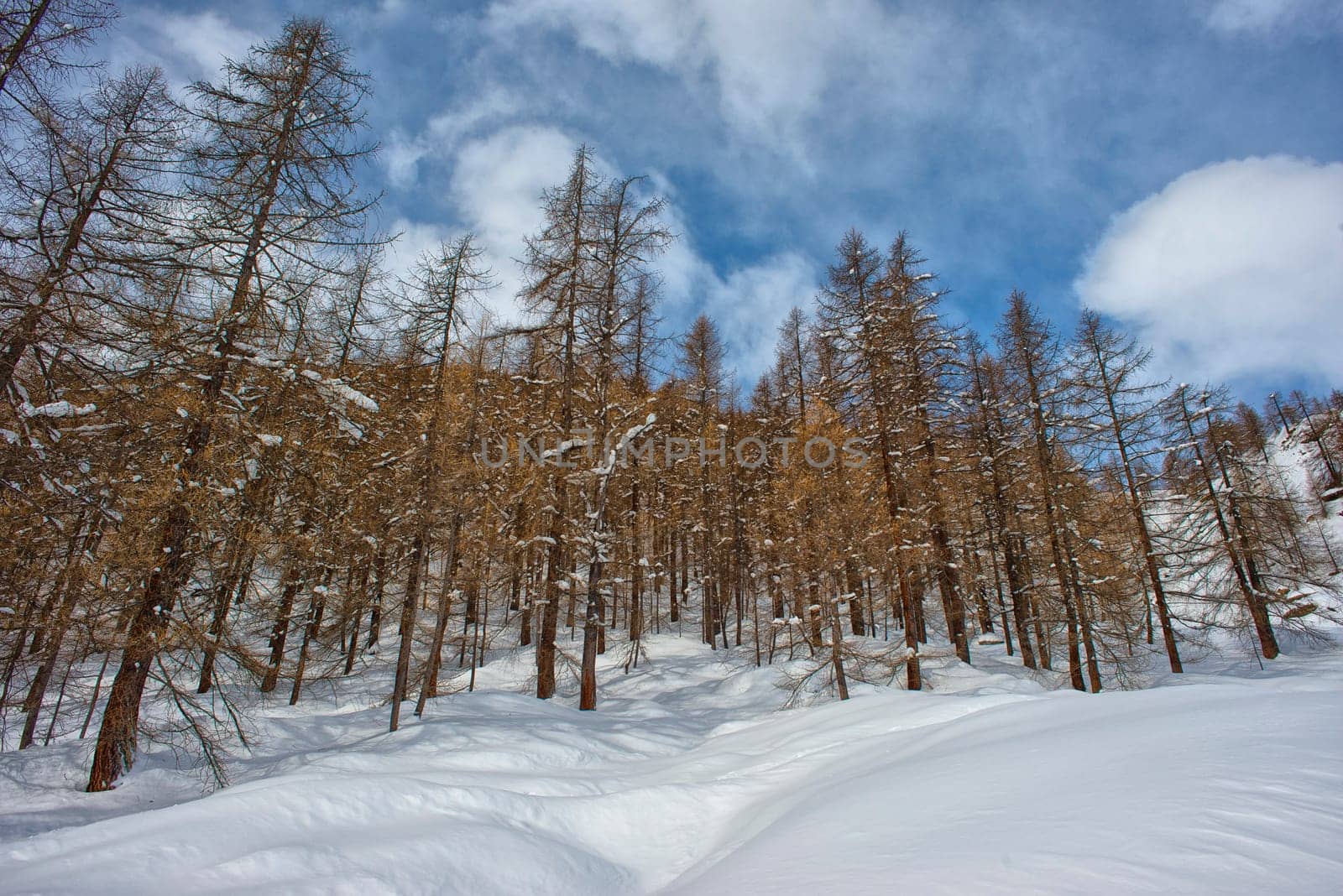 mountain landscape on sunny winter day by AndreaIzzotti