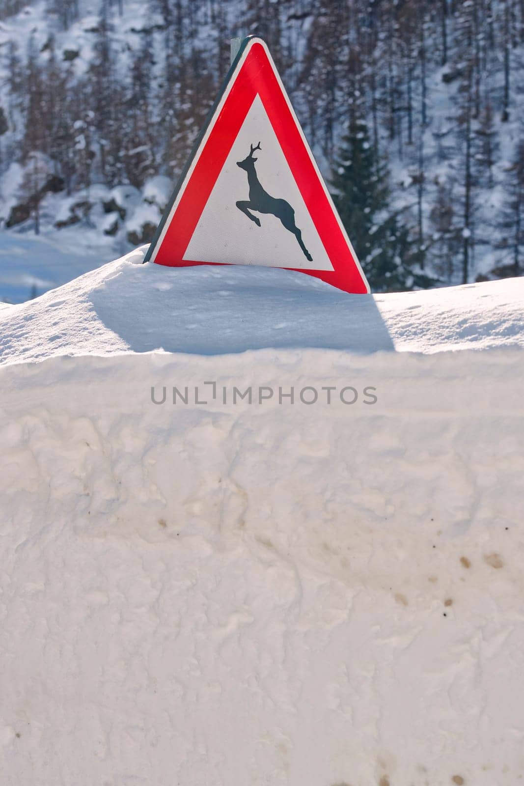 deer sign covered by snow by AndreaIzzotti