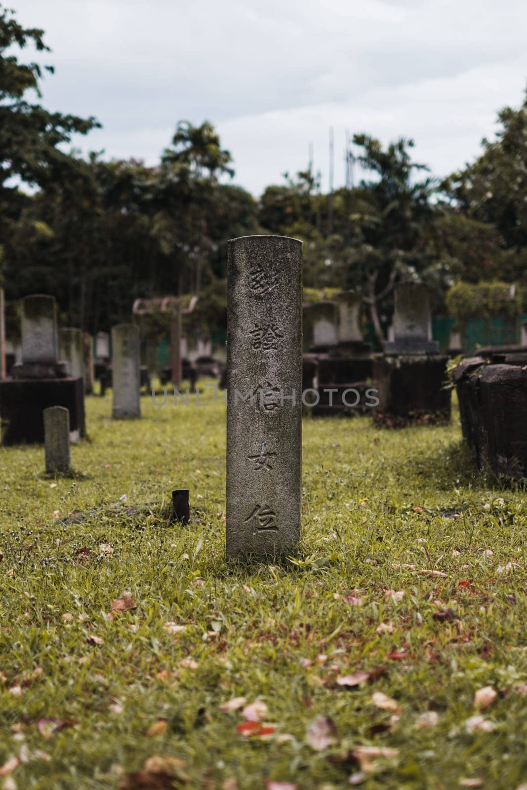Singapore - July 9 2023: Japanese Tombstone Amid Green Field