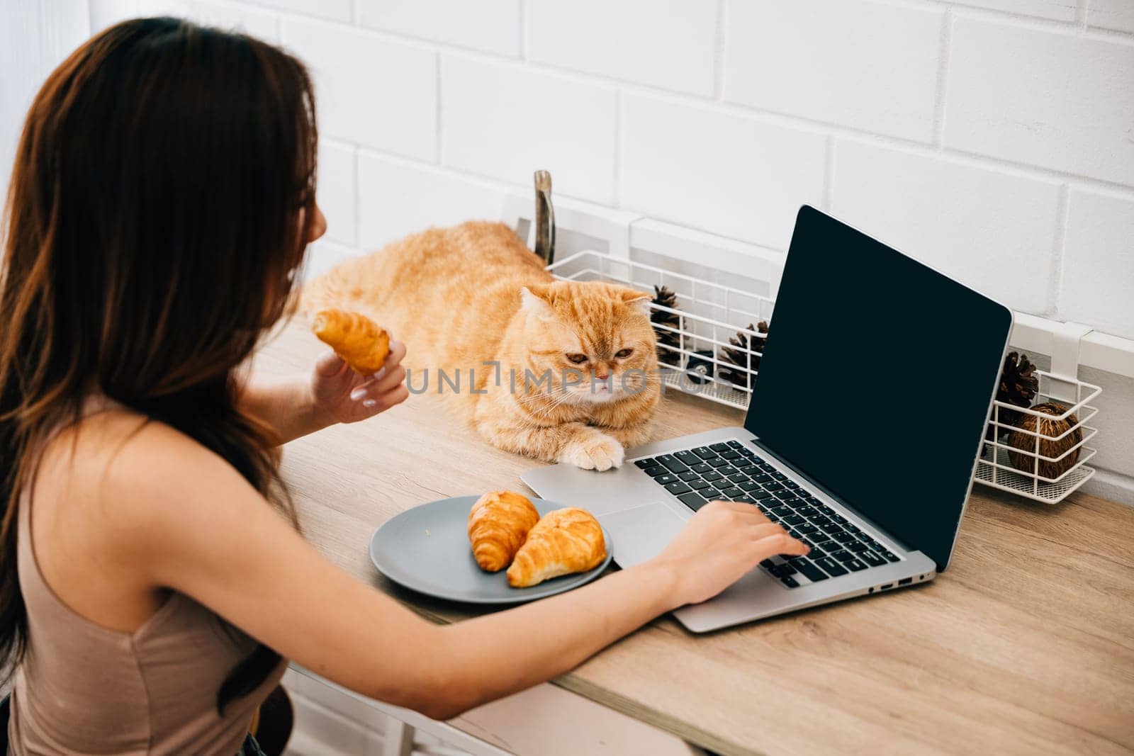 In this heartwarming home office scene, a young woman finds comfort in her Scottish Fold cat's presence while typing on her laptop at her desk, showcasing the beauty of work and pet companionship. by Sorapop