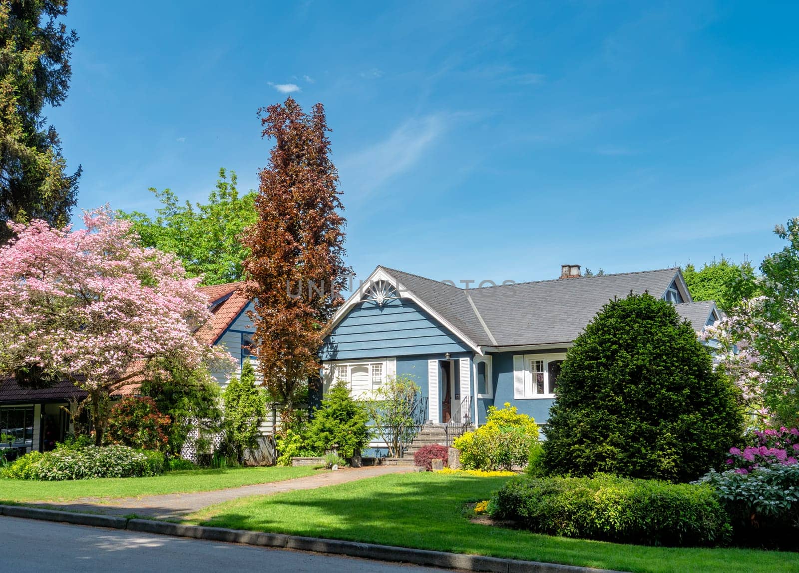 Residential neighborhood on bright sunny day in Vancouver, Canada