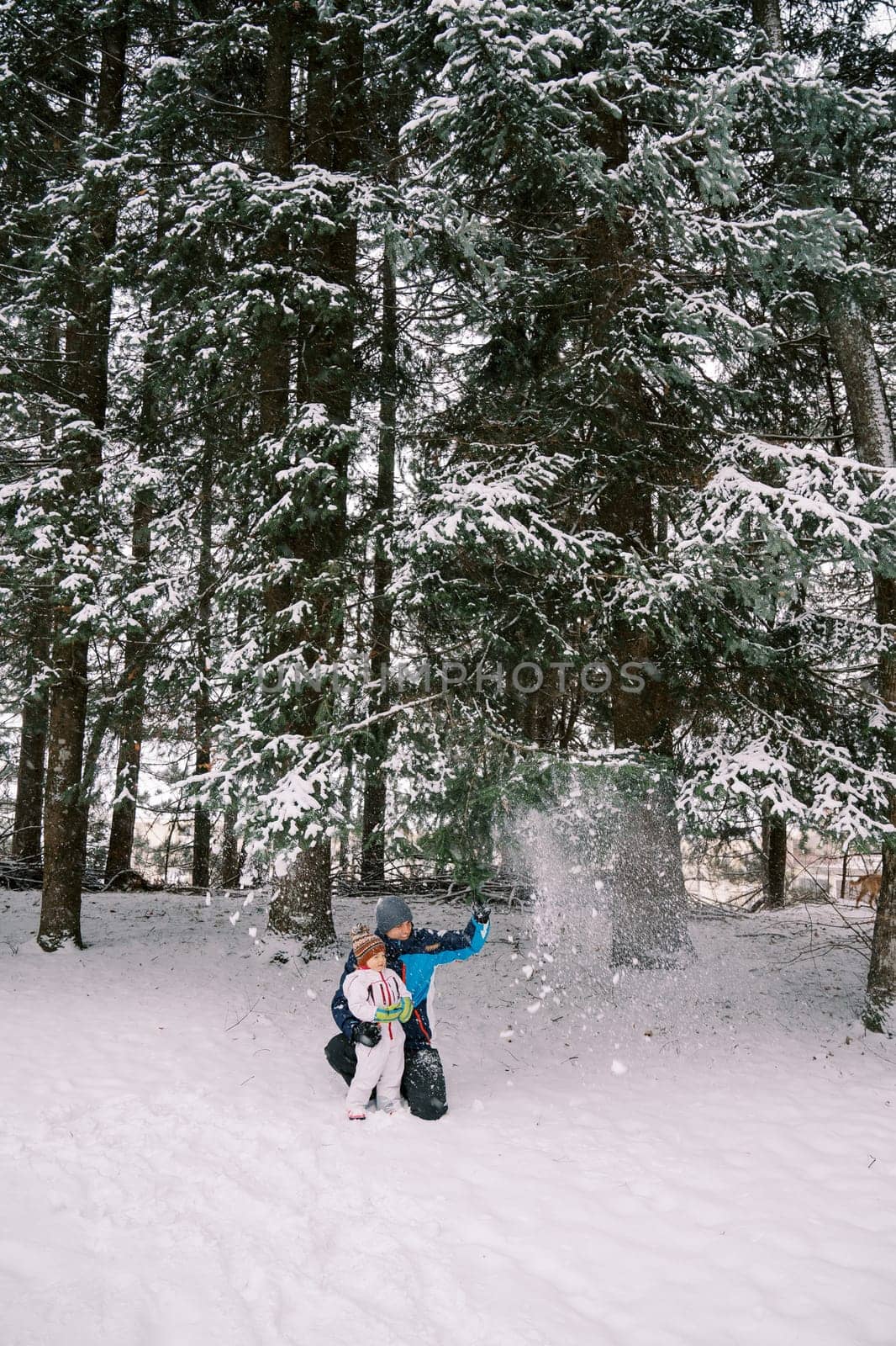Dad squatted hugging a small child under snowfall in a snowy forest by Nadtochiy