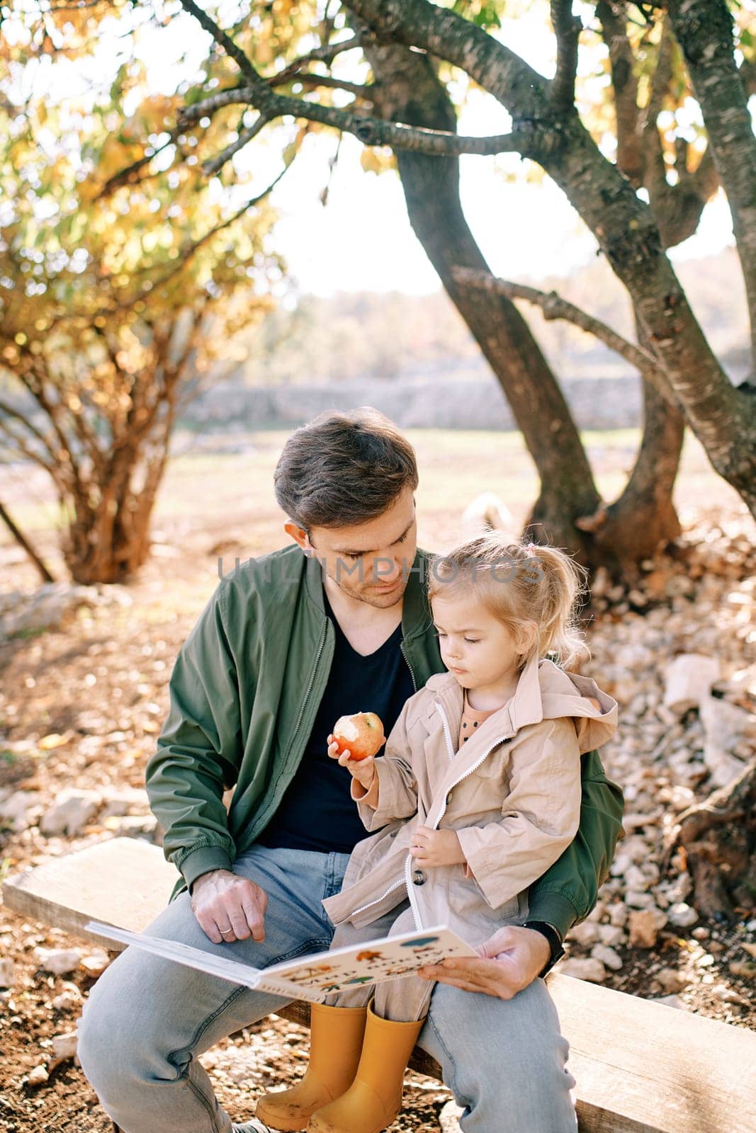 Little girl with an apple looks at a book in her dad hands while sitting on his lap on a bench on a farm by Nadtochiy