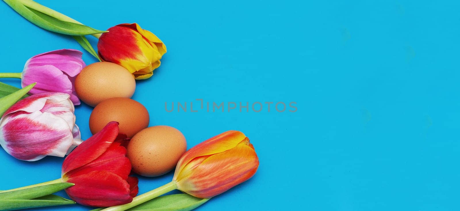 Red tulips and eggs on a blue background by gelog67