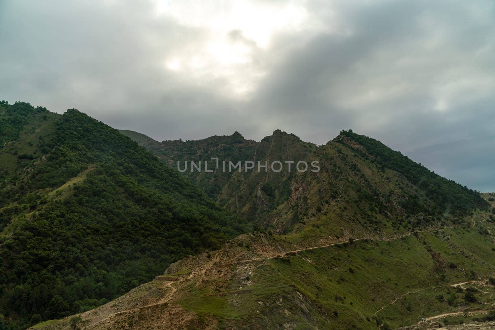Caucasian mountain. Dagestan. Trees, rocks, mountains, view of the green mountains. Beautiful summer landscape. by Matiunina