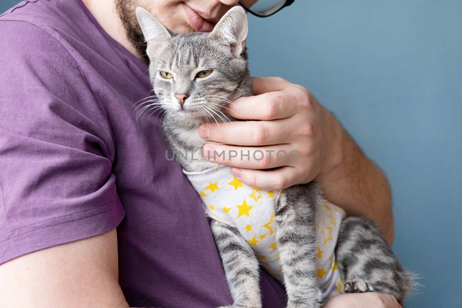 Pet sterilization concept. Adorable kitty portrait in special suit bandage recovering after surgery. man taking care of cat