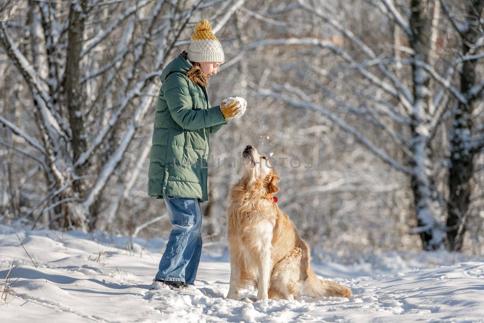 Small Girl With Golden Retriever Plays With Snow In Winter Forest