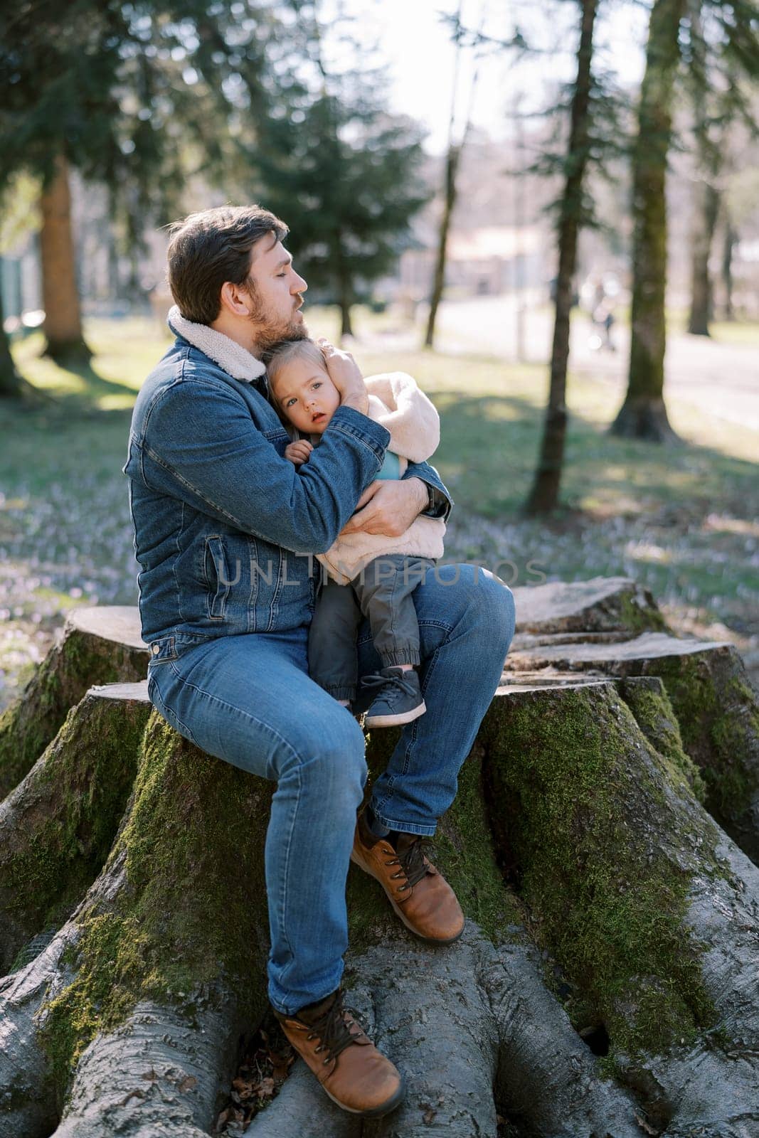 Dad hugs a frightened little girl sitting on his lap on a big stump. High quality photo