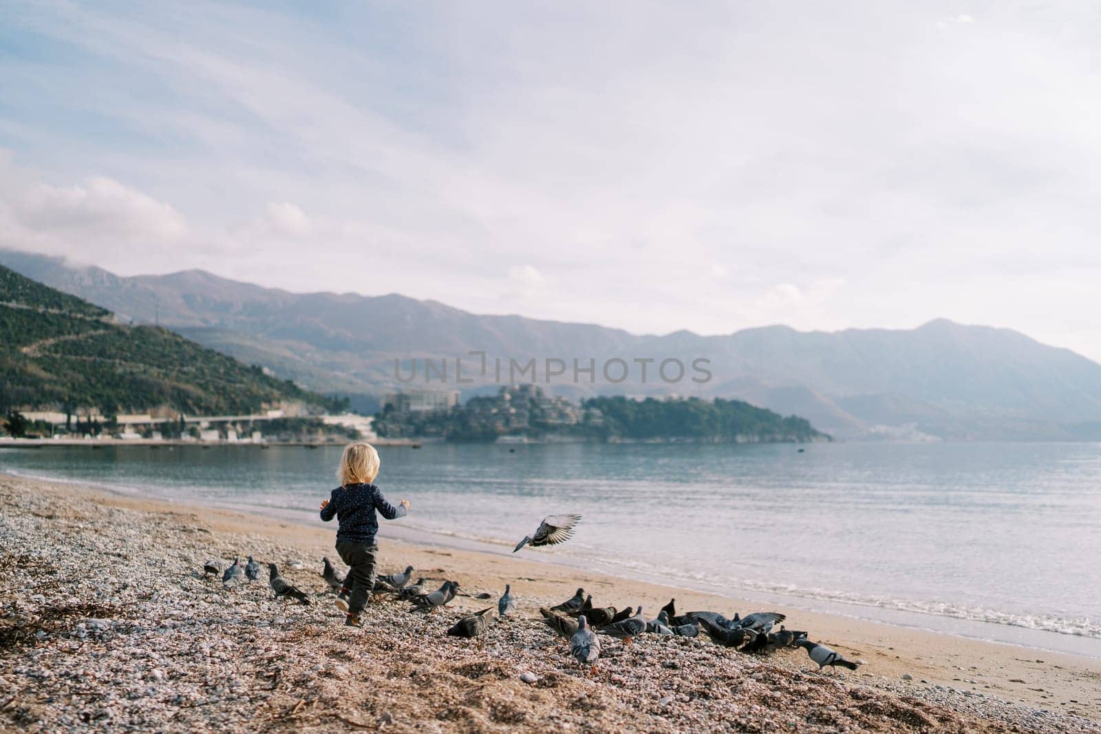 Little girl walks along the beach among a flock of pigeons. Back view. High quality photo