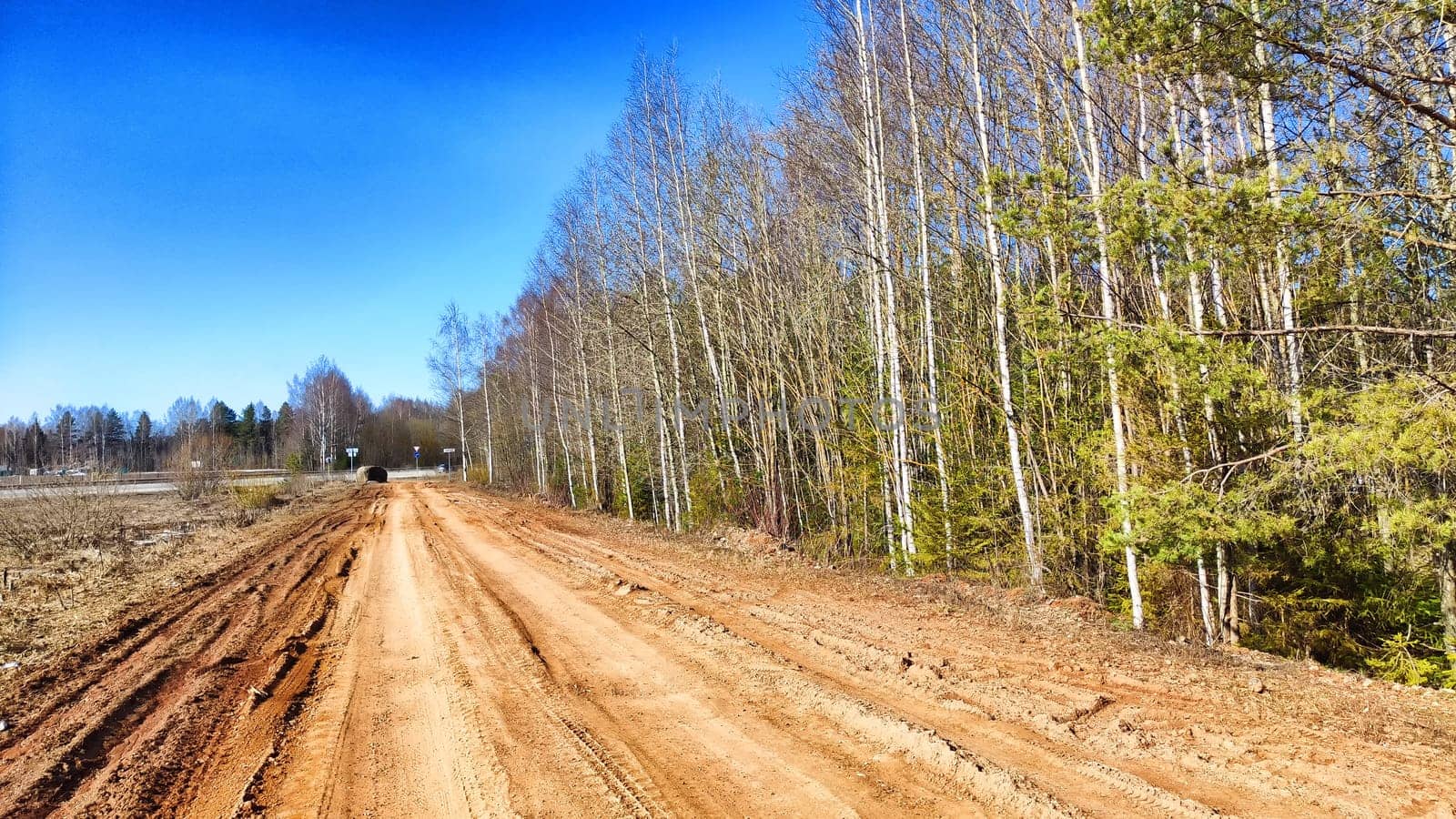 Dry dirt clay rural road in a field, stretching to the horizon in early spring. Rustic landscape