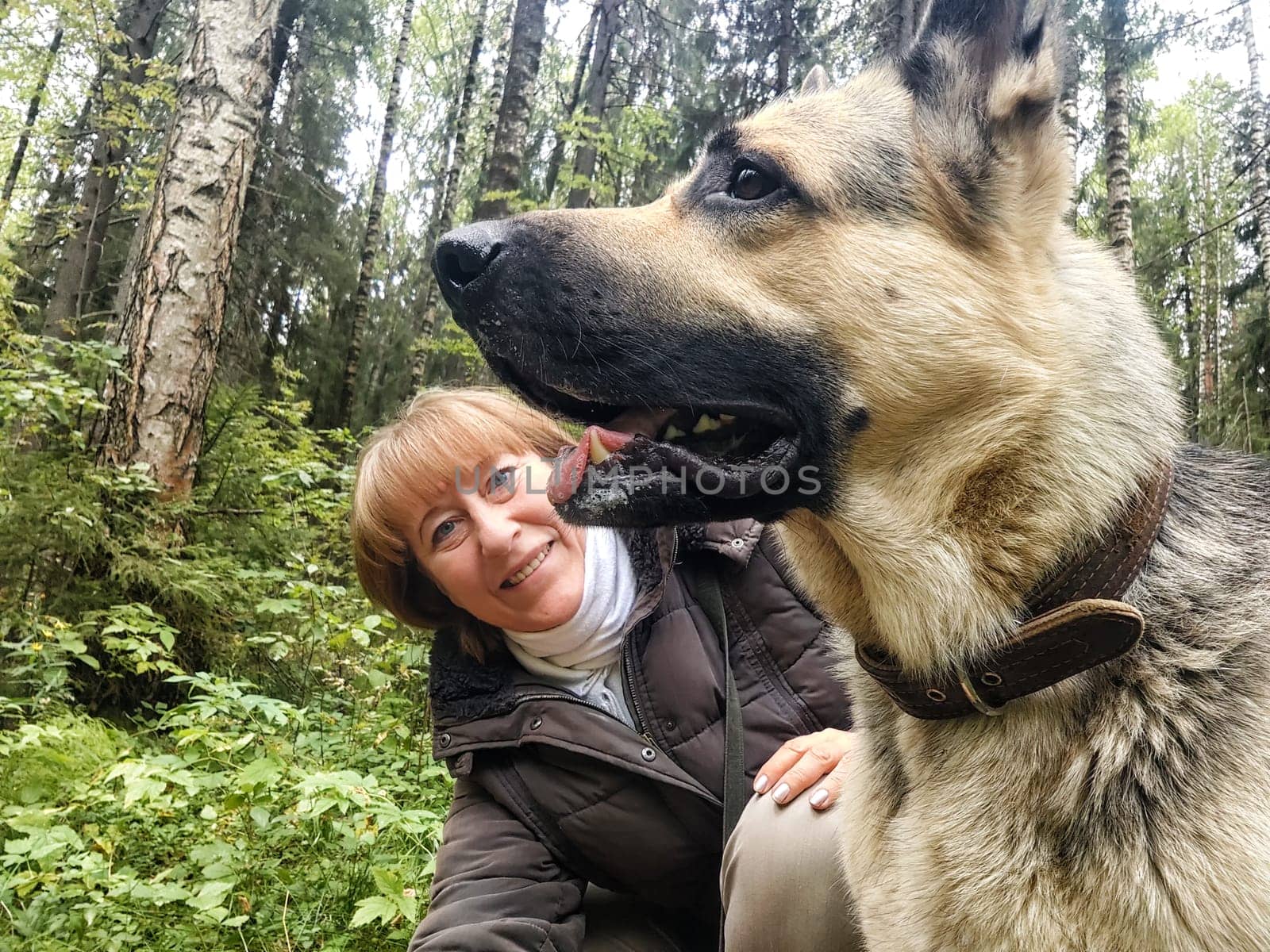 Adult girl with shepherd dog taking selfies in forest. Middle aged woman and big shepherd dog on nature. Friendship, love, communication, fun, hugs