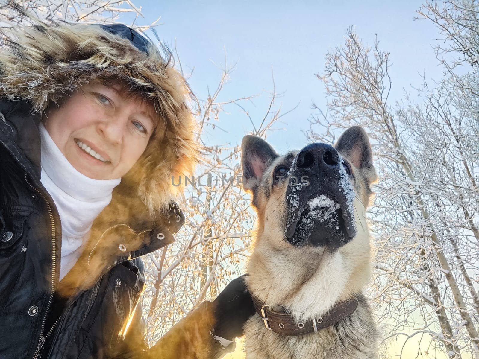 Adult girl with shepherd dog taking selfies in winter forest. Middle aged woman and big shepherd dog on nature in cold day. Friendship, love, communication, fun, hugs