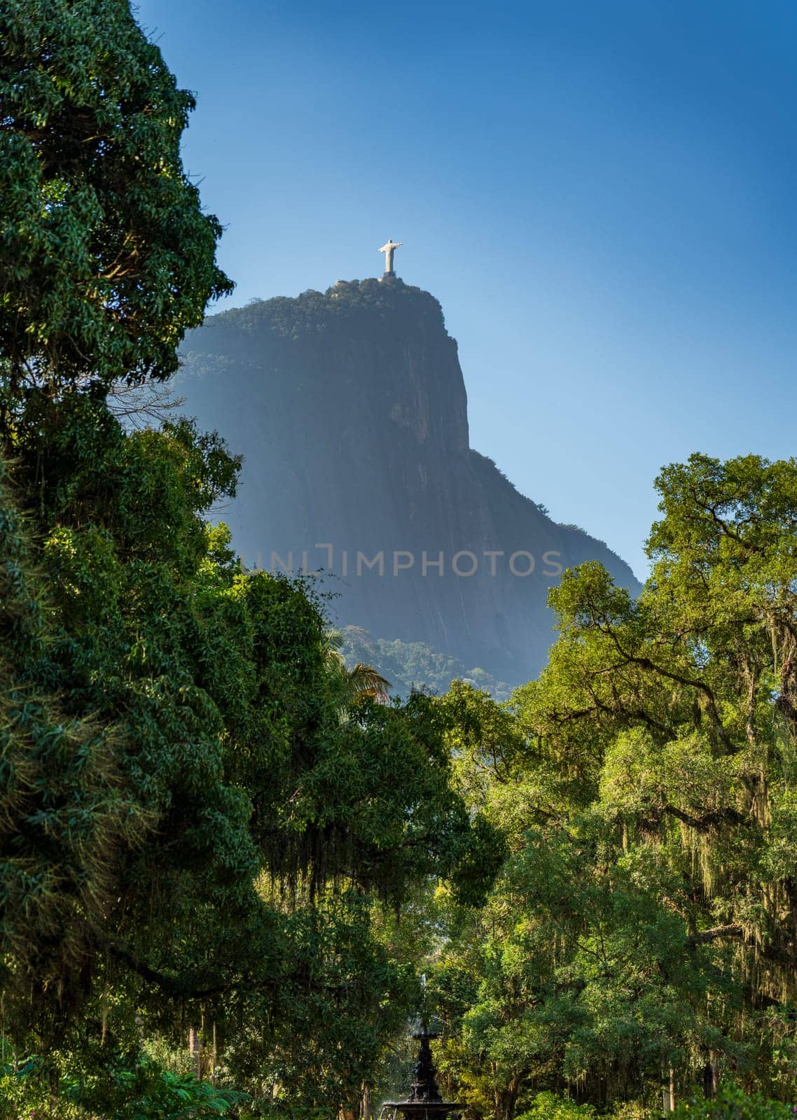 Iconic Christ the Redeemer in Rio amid greenery under blue sky.