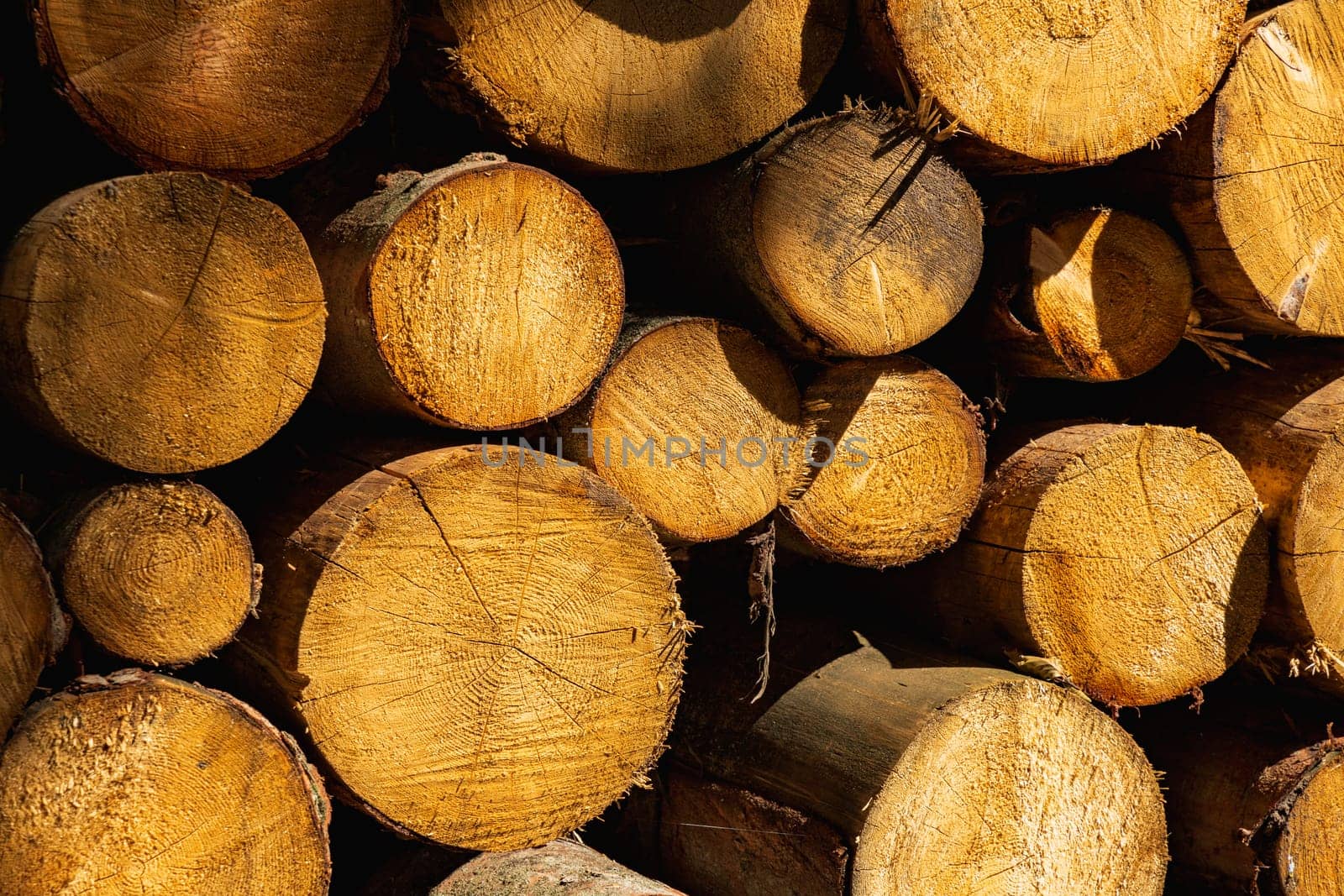 Big stack of fresh cut logs of trees next to mountain trail at sunny day by Wierzchu