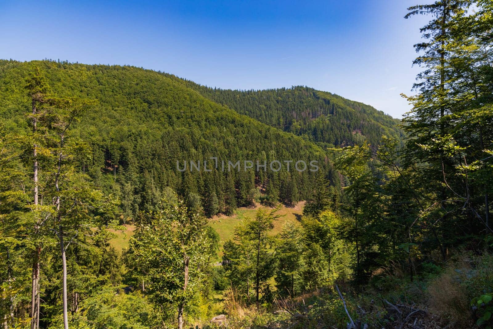 Beautiful green yellow and blue landscape of layers of hills and mountains full of high and green trees