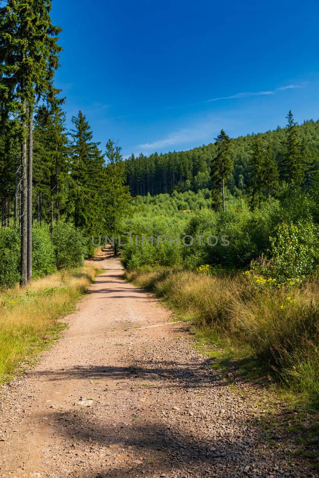 Beautiful green yellow and blue landscape in mountains seen from long and steep mountain trail