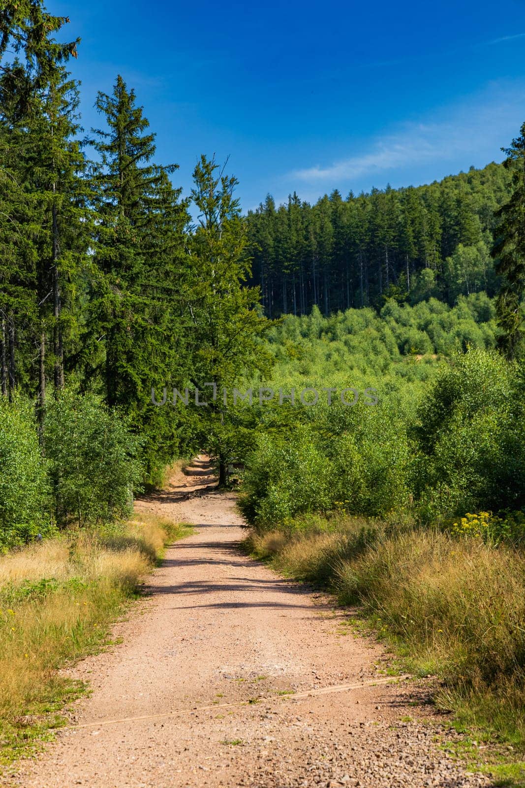 Beautiful green yellow and blue landscape in mountains seen from long and steep mountain trail