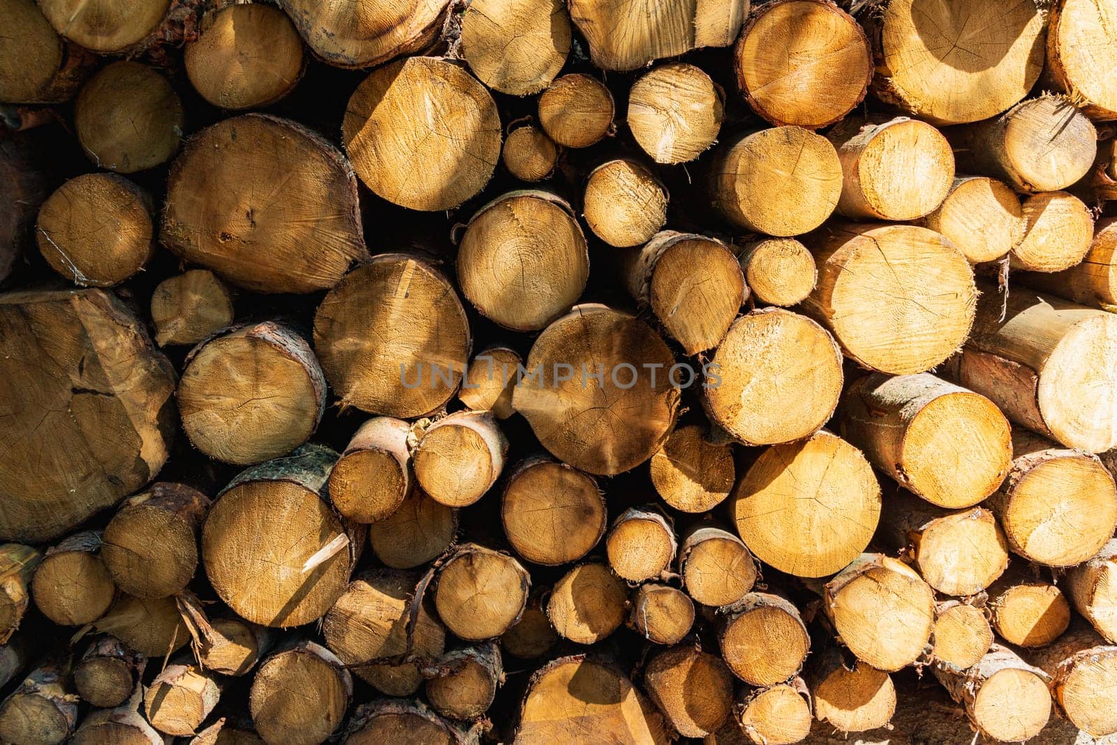 Big stack of fresh cut logs of trees next to mountain trail at sunny day