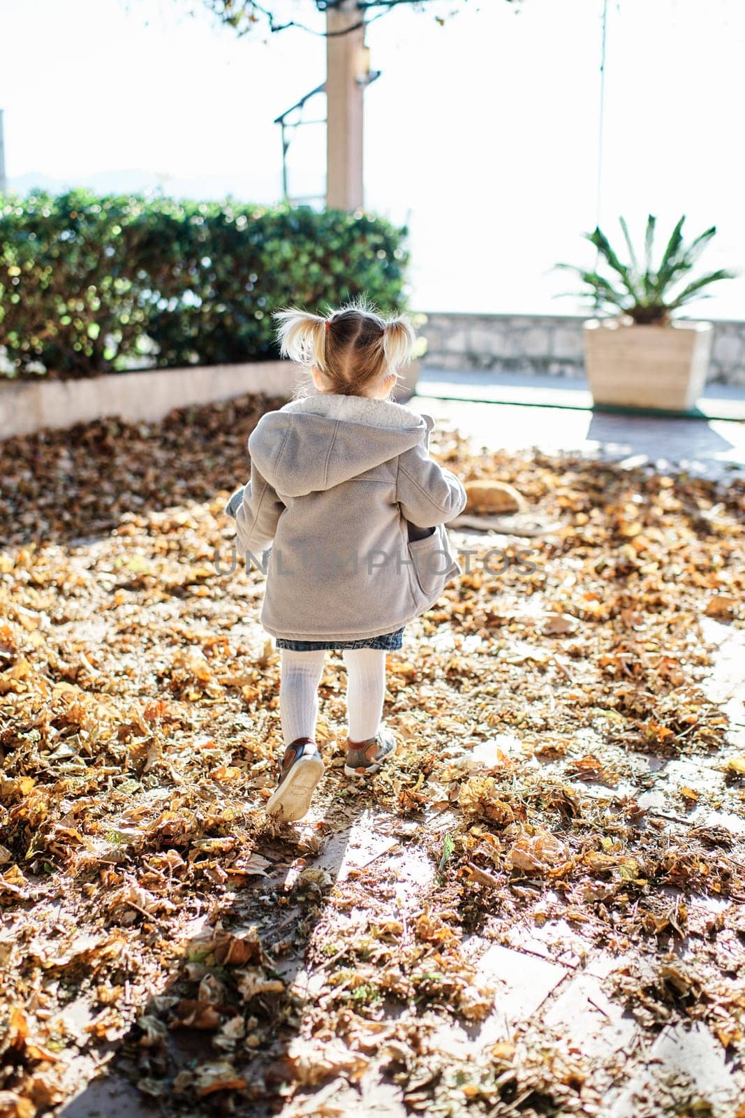Little girl walks on fallen dry leaves in the garden. Back view. High quality photo