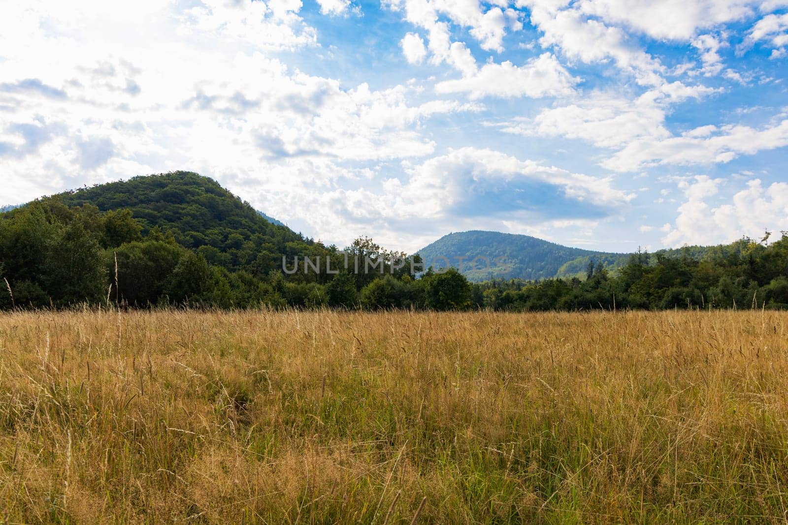 Beautiful landscape of small city and beautiful hills and mountains next to it at sunny day by Wierzchu