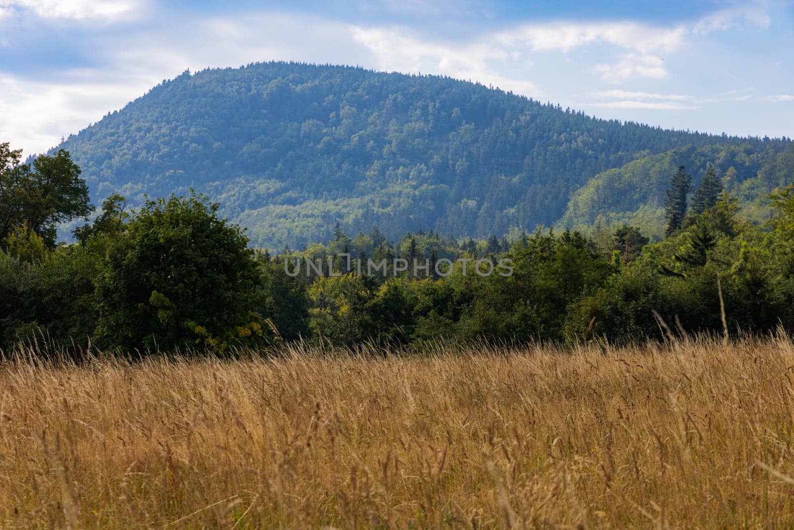 Beautiful landscape of small city and beautiful hills and mountains next to it at sunny day by Wierzchu