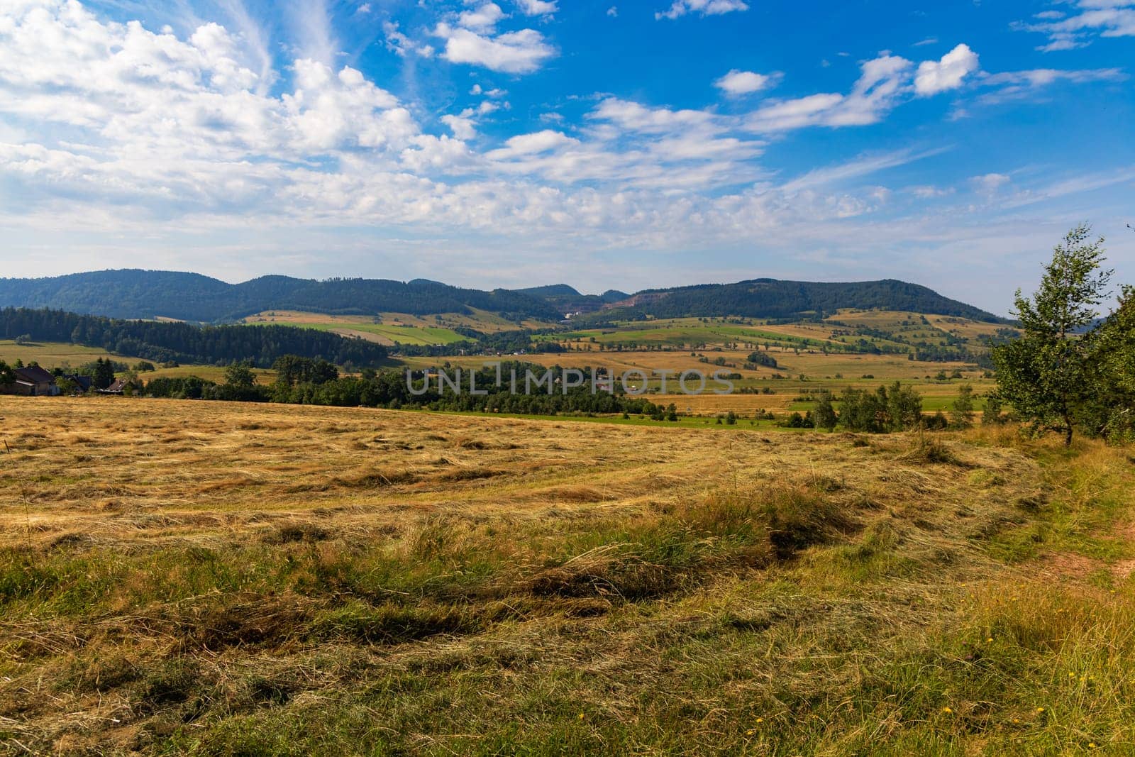 Beautiful landscape of glades and clearing full of fields and trees between it at mountains at sunny cloudy day by Wierzchu