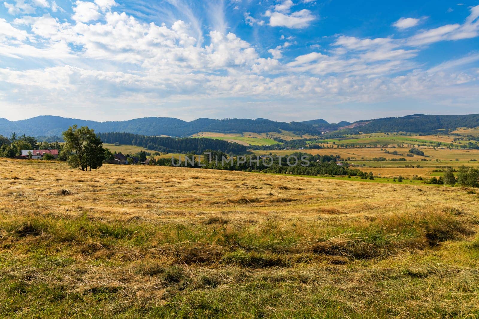 Beautiful landscape of glades and clearing full of fields and trees between it at mountains at sunny cloudy day by Wierzchu