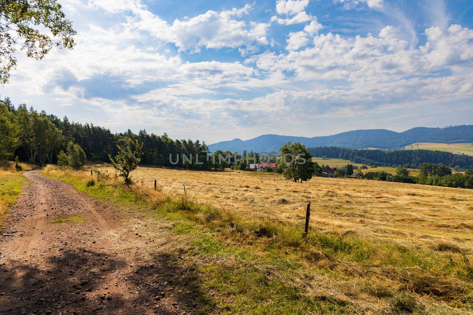 Beautiful landscape of glades and clearing full of fields and trees between it at mountains at sunny cloudy day