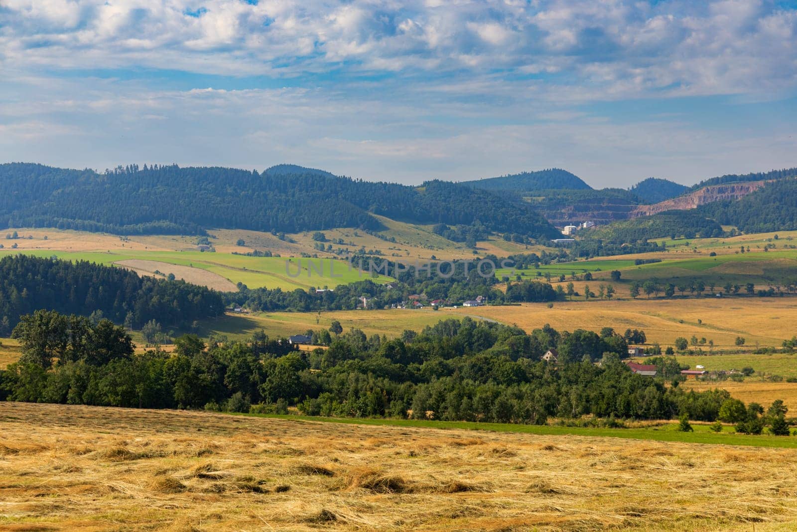 Beautiful landscape of glades and clearing full of fields and trees between it at mountains at sunny cloudy day by Wierzchu