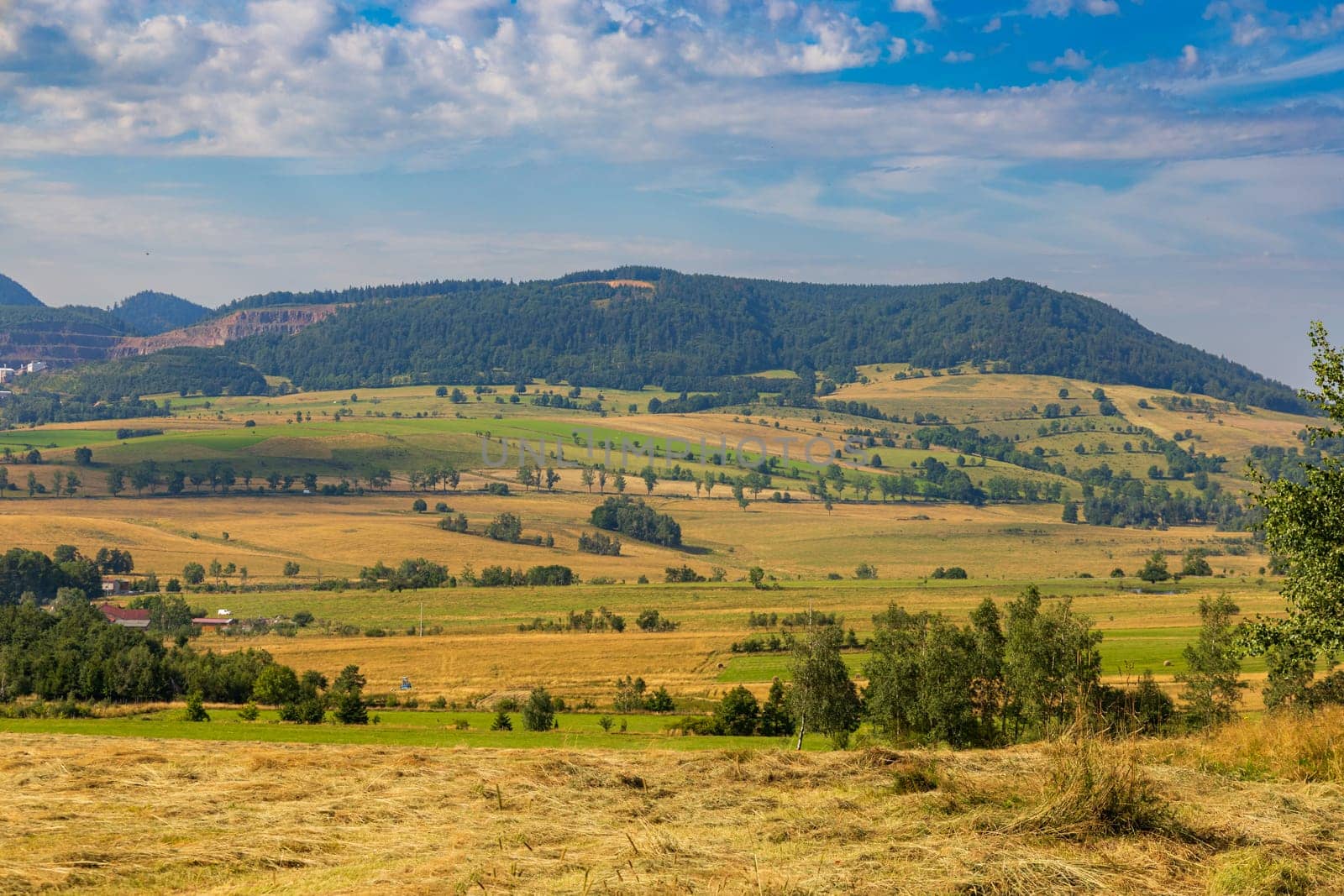 Beautiful landscape of glades and clearing full of fields and trees between it at mountains at sunny cloudy day